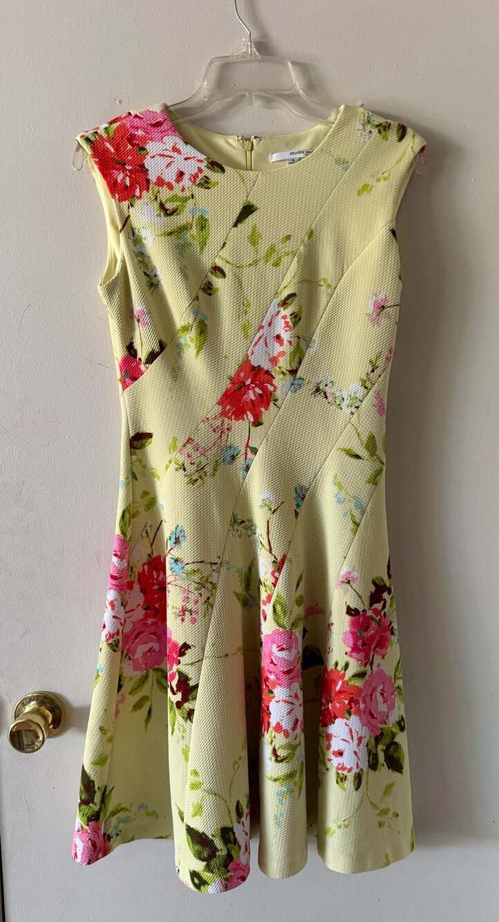 Studio One New York Floral Fit & Flare Dress Women’s Size 6 Ivory Pink